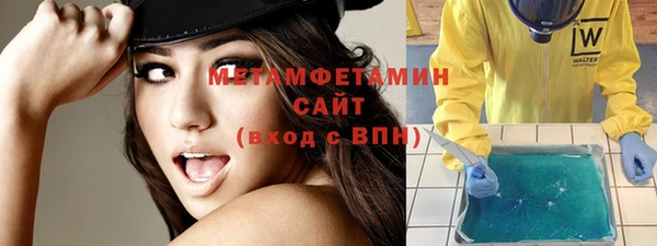 прущие грибы Наволоки