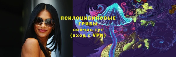 прущие грибы Наволоки