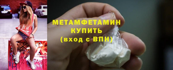 прущие грибы Наволоки