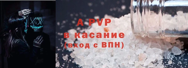 прущие грибы Наволоки