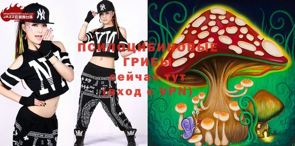 твердый Нея