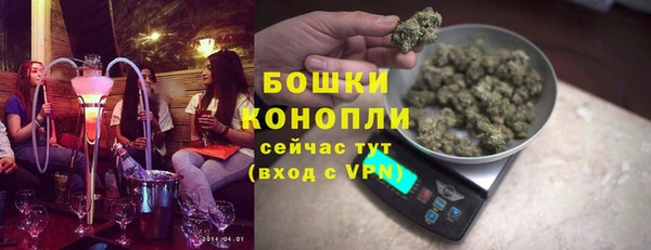 прущие грибы Наволоки