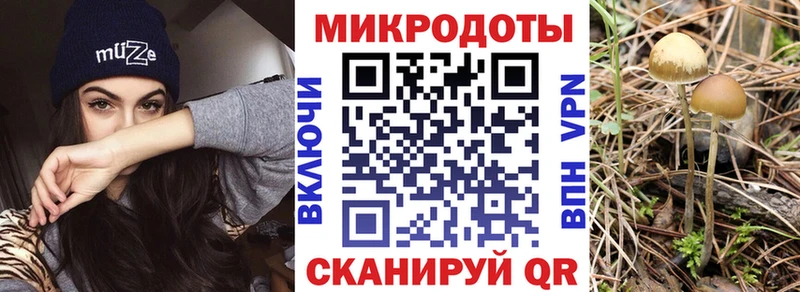 закладка  Зарайск  Псилоцибиновые грибы мицелий 